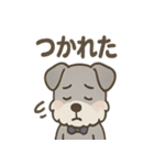 まじめ顔シュナの日常スタンプ（個別スタンプ：38）