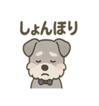 まじめ顔シュナの日常スタンプ（個別スタンプ：39）
