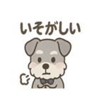 まじめ顔シュナの日常スタンプ（個別スタンプ：40）