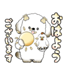 犬さん 「毎日よく使う言葉」（個別スタンプ：1）