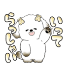 犬さん 「毎日よく使う言葉」（個別スタンプ：6）