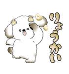 犬さん 「毎日よく使う言葉」（個別スタンプ：8）