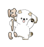 犬さん 「毎日よく使う言葉」（個別スタンプ：11）