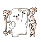 犬さん 「毎日よく使う言葉」（個別スタンプ：13）