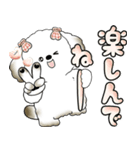 犬さん 「毎日よく使う言葉」（個別スタンプ：14）