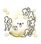 犬さん 「毎日よく使う言葉」（個別スタンプ：19）
