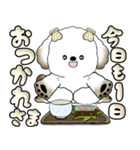 犬さん 「毎日よく使う言葉」（個別スタンプ：21）