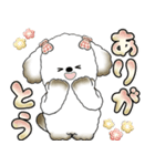 犬さん 「毎日よく使う言葉」（個別スタンプ：24）