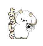 犬さん 「毎日よく使う言葉」（個別スタンプ：25）