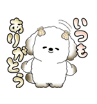 犬さん 「毎日よく使う言葉」（個別スタンプ：28）