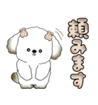 犬さん 「毎日よく使う言葉」（個別スタンプ：29）