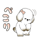 犬さん 「毎日よく使う言葉」（個別スタンプ：30）