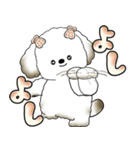 犬さん 「毎日よく使う言葉」（個別スタンプ：33）