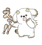 犬さん 「毎日よく使う言葉」（個別スタンプ：35）