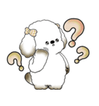 犬さん 「毎日よく使う言葉」（個別スタンプ：39）