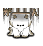 犬さん 「毎日よく使う言葉」（個別スタンプ：40）