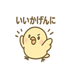 ふんわりことりさんの毎日あいさつ（個別スタンプ：1）