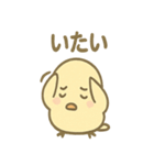 ふんわりことりさんの毎日あいさつ（個別スタンプ：4）
