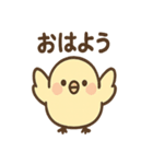 ふんわりことりさんの毎日あいさつ（個別スタンプ：11）