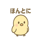 ふんわりことりさんの毎日あいさつ（個別スタンプ：24）