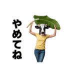 にょっす界隈牛スタンプだにょ2（個別スタンプ：5）