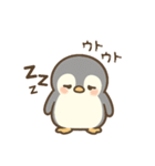 毎日一緒♡ペンギンの銀ちゃんスタンプ！①（個別スタンプ：1）