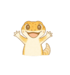 毎日使えるレオパくん（個別スタンプ：1）