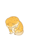 毎日使えるレオパくん（個別スタンプ：14）
