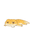 毎日使えるレオパくん（個別スタンプ：22）