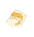 毎日使えるレオパくん（個別スタンプ：25）