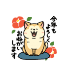 柴犬むちのお正月【再販】（個別スタンプ：2）