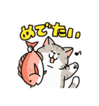 柴犬むちのお正月【再販】（個別スタンプ：8）