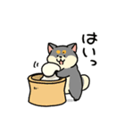 柴犬むちのお正月【再販】（個別スタンプ：10）