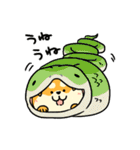 柴犬むちのお正月【再販】（個別スタンプ：12）