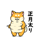 柴犬むちのお正月【再販】（個別スタンプ：13）