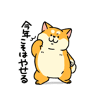 柴犬むちのお正月【再販】（個別スタンプ：14）