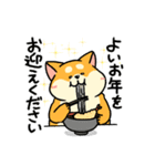 柴犬むちのお正月【再販】（個別スタンプ：16）
