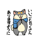 柴犬むちのお正月【再販】（個別スタンプ：17）