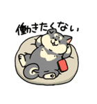 柴犬むちのお正月【再販】（個別スタンプ：18）