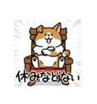 柴犬むちのお正月【再販】（個別スタンプ：19）