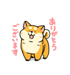 柴犬むちのお正月【再販】（個別スタンプ：22）