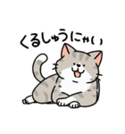 柴犬むちのお正月【再販】（個別スタンプ：24）