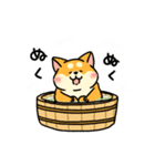 柴犬むちのお正月【再販】（個別スタンプ：25）