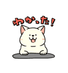 柴犬むちのお正月【再販】（個別スタンプ：30）