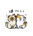 柴犬むちのお正月【再販】（個別スタンプ：31）