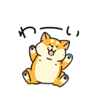 柴犬むちのお正月【再販】（個別スタンプ：32）