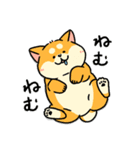 柴犬むちのお正月【再販】（個別スタンプ：33）