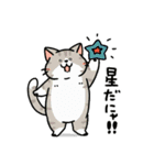 柴犬むちのお正月【再販】（個別スタンプ：34）