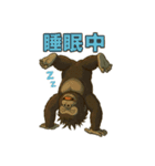 ゴリラの日常！？（◯◯中シリーズ）（個別スタンプ：36）