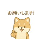 可愛い動物達の歯医者さん 日本語（個別スタンプ：3）